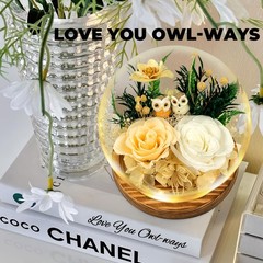 Preserved Flowers Roses Gift for Mom, Wife, Grandma – Forever Real White