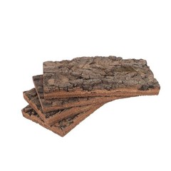 4 Pcs Natural Bark Decoration Wood Pieces Terrarium Tree Carving for Crafts