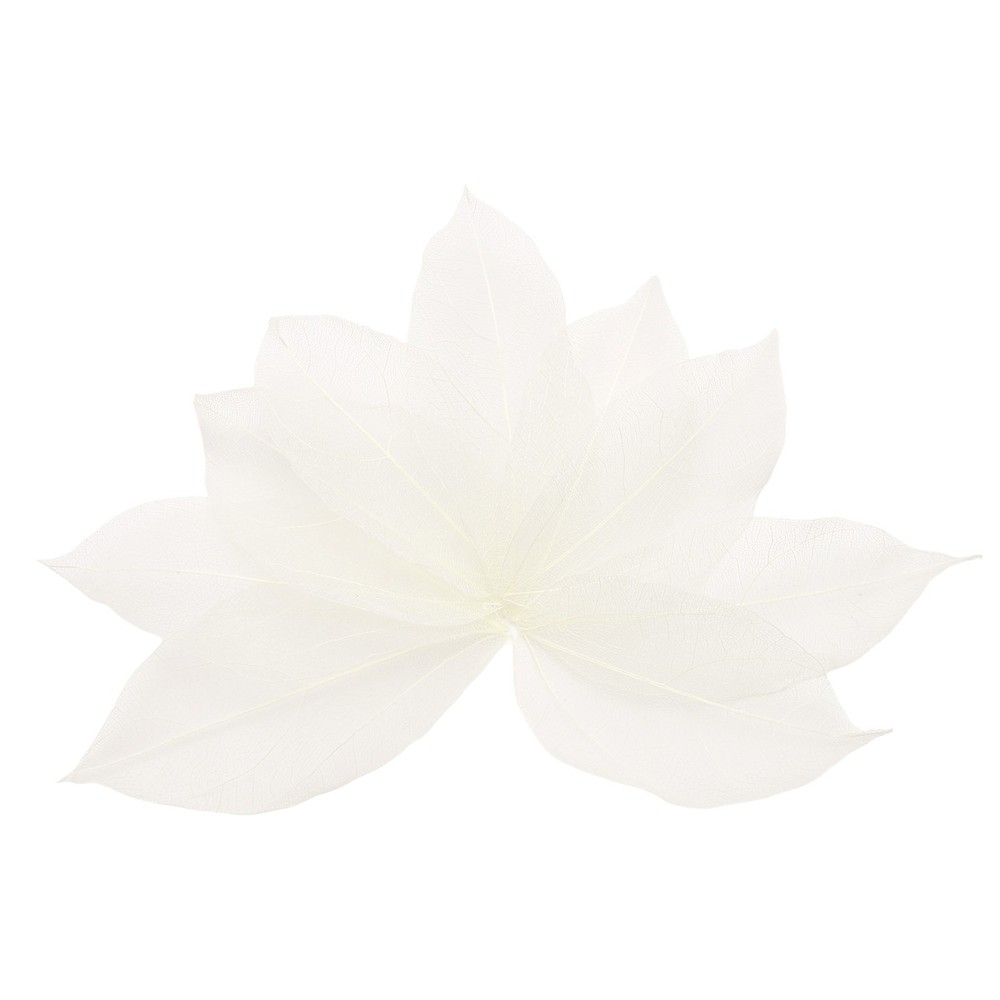 100Pcs White Skeleton Leaves 2″- 3″ Rubber Tree Scrapbooking
