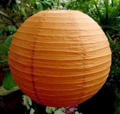 4″ Persimmon Orange Round Paper Lantern, Even Ribbing Decoration (10 Pack)