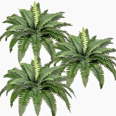 Artificial Boston Ferns Bush Plants Large, Set of 3 Large Artificial Ferns fo…