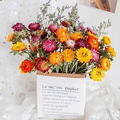 Dried Flowers Bouquet, Dry Caspia Flower Bundle, Floral Lavender, Babys Natural