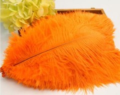 Orange Ostrich Feathers 12-14 inches 12 Pieces(GA, USA)