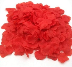 Red Artificial Rose Petals/ Silk Roses/ LED Candles Romantic Night Propose Set
