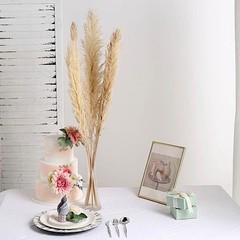 6 SPRAYS STEMS 49″ Natural Pampas Grass Dried Plant Party Events Decorations