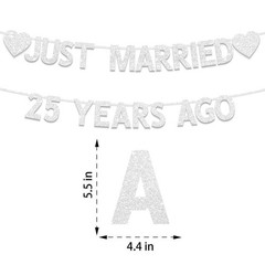 Plzaxou 25th Wedding Anniversary Party Banner Decorations, Silver
