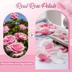 180 PCS Real Pink White Rose Flower Petals Confetti for Wedding to Throw, 1.75oz