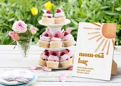 Mom-osa Bar Baby Shower Game Sign-8×11 Inches, Here Comes The Sun Wooden Ga