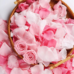 180 PCS Real Pink White Rose Flower Petals Confetti for Wedding to Throw, 1.75oz