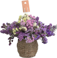50 Pcs Floral Card Holder Picks,12 Inch Flower Pick Holder for Card Photos Weddi