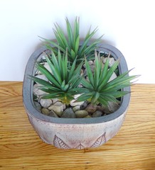 Agave Gladiolu Cacti Mini Grasses Artificial Fake Plants Succulents