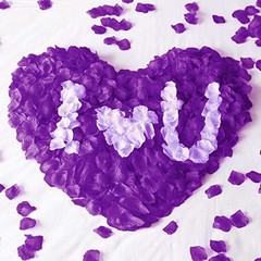 obmwang 2000 PCS Artificial Silk Rose Petals for Wedding Party Favors Purple