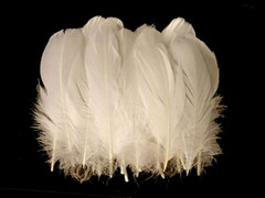 Ivory Goose Feathers 6-8″ 12 Pc Wedding Millinery Crafts Decoration