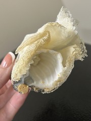 Vintage 1950’s 60s Wedding Cake Bride and Groom Topper Brown Hair