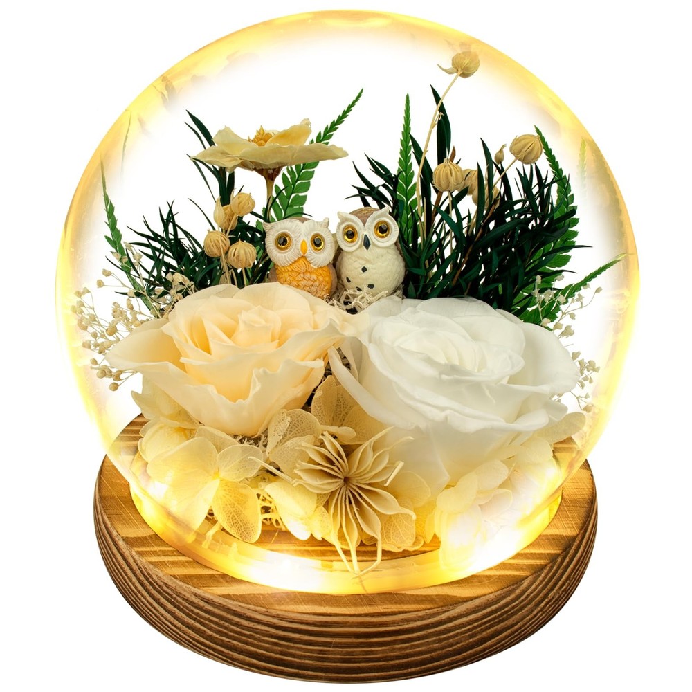 Preserved Flowers Roses Gift for Mom, Wife, Grandma – Forever Real White