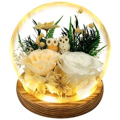 Preserved Flowers Roses Gift for Mom, Wife, Grandma – Forever Real White