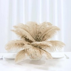 12 pcs 13-15″ long Beige Genuine Ostrich FEATHERS Wedding Party Centerpieces