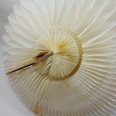 Vintage 1960’s Bride Wedding Decor Honeycomb Centerpiece w/ Box Bridal Shower