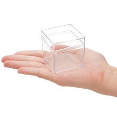 36 Pack Acrylic Boxes with Lid, Clear Square Cubes Treat Gift Boxes Candy