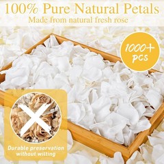 1000+Pcs Dried Real White Rose Petals, Freeze Preserved Flower Petals – 240g