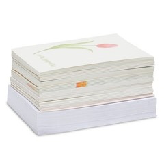 Best Paper Greetings Get Well Cards Assortment Box – 48 Pack, 4×6 Inch, 12 Fl…