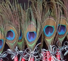 12 Peacock Feather Pen Party,forParty,Sweet16,Bridal S,Mom GIft,Weddin Favors