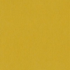 Bazzill Fourz Cardstock 12″X12″ 12 inches x 12 inches, Amber/Grasscloth