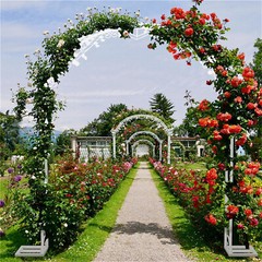 Decorative Wedding Arch Flower Pattern Heavy Metal for Bridal Party Prom Stand