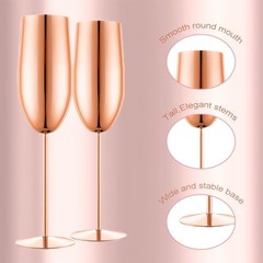 Stainless Steel Champagne Flutes Set of 2-Unbreakable Metal Long Rose Gold