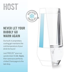 Host Freeze Insulated Champagne Glasses, Gifts for Mom, Home Bar Gifts for Wo…