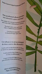 New Large Palm Leaf Photo Postbound Album Scrapbook 12.5″ x 11″ 8 Pages EDY3146