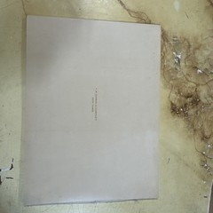 Vintage 1901 C.R. Gibson Roses On Your Way Wedding Guest Book Beige Victorian