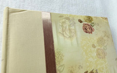 Pioneer Roses Photo Album Beige Mauve Ribbon 50 Pages 4×6 DA-200D