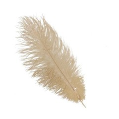 12 pcs 13-15″ long Beige Genuine Ostrich FEATHERS Wedding Party Centerpieces