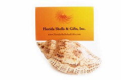 Set of 6 Genuine Seashell Card Holders – Beach Wedding / Event – Real Shells