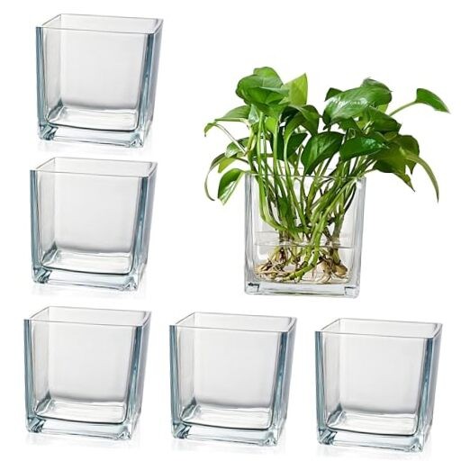 Set of 6 Square Glass Vases for Centerpieces – 4″ x 4″ x 4″ 4in-6pcs Clear