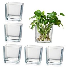 Set of 6 Square Glass Vases for Centerpieces – 4″ x 4″ x 4″ 4in-6pcs Clear
