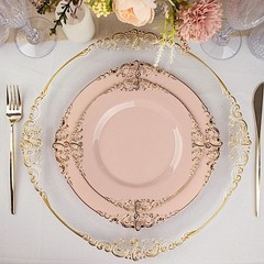 10 BLUSH GOLD 8″ Round Plastic Salad Dinner PLATES Embossed Baroque Rim Party