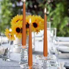 BOLSIUS Orange Taper Candles – 4 Pack Unscented 10 Inch Dinner Candle