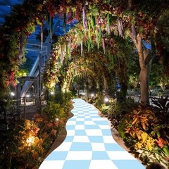 Wonderland Party Decoration Blue and White Checkered Aisle Runner 118 x 24 In…